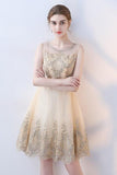Line Round Neck Short Lace Appliques Homecoming Dresses HZ0509