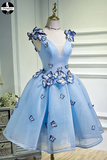 Sky Blue A Line Flowers V Neck Sleeveless Junior Prom Dress, Homecoming Dress HZ0509