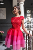 Red A-line Scoop Homecoming Dress Tulle Short Prom Drsess HZ0509