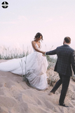 Unique Appliqued A-line Tulle Wedding Dresses With Chapel Train HZ0509