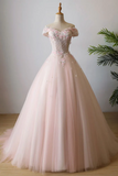 Ball Gown Long Prom Dress Applique Formal Evening Dress HZ0509