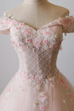 Ball Gown Long Prom Dress Applique Formal Evening Dress HZ0509