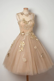 Sheer Lace Up Appliques Beading Short Homecoming Dresses HZ0509