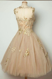 Sheer Lace Up Appliques Beading Short Homecoming Dresses HZ0509