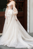 Champagne A Line Lace Tulle Long Prom Dress, Lace Tulle Formal Dress HZ0509