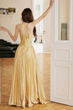 Spaghetti Straps Satin Long Prom Dress, Gold V Neck Backless Evening Party Dress HZ0509