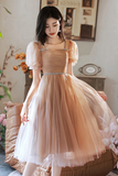 Line Champagne Tulle Short Prom Dress, Champagne Homecoming Dress HZ0509