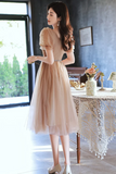 Line Champagne Tulle Short Prom Dress, Champagne Homecoming Dress HZ0509